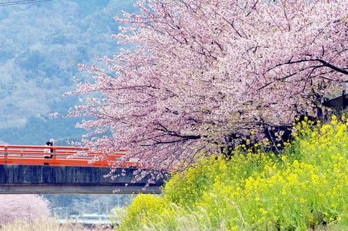 nhung-dieu-phai-lam-khi-den-osaka-2