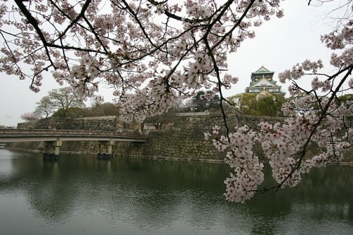 Lâu đài Osaka
