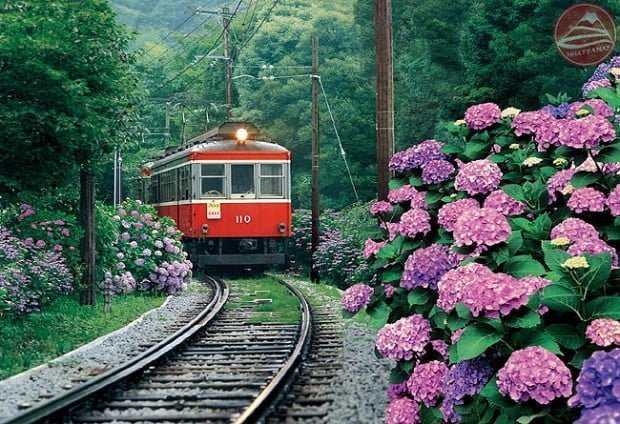 Hakone Tozan Railway