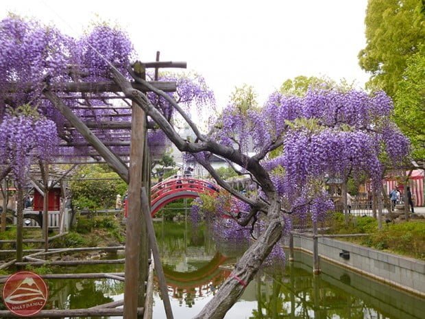 Kameido Shrine