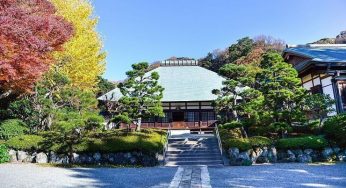 Vãn Cảnh Đền Chùa Linh Thiêng ở Kamakura