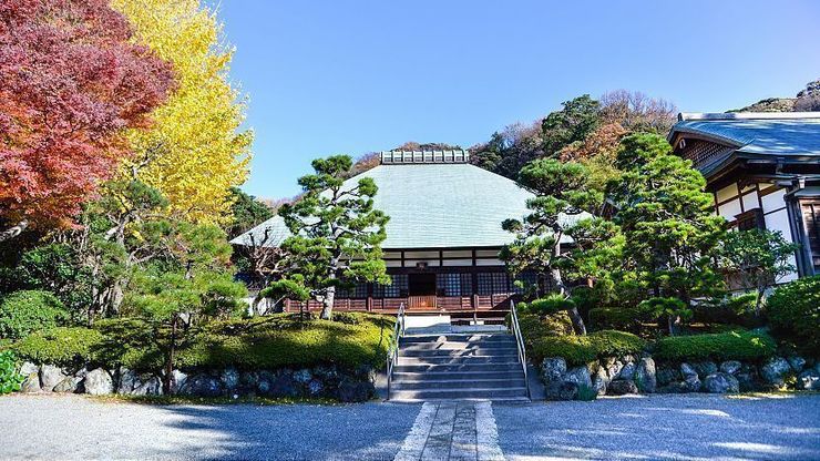 Vãn Cảnh Đền Chùa Linh Thiêng ở Kamakura