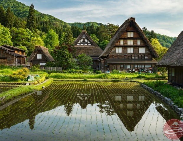 010shirakawa-5031-1717