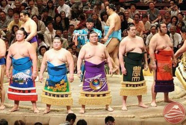 016sumo%20-%20yves%20picq_6