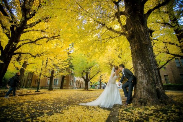 Ảnh cưới mùa thu Nhật Bản