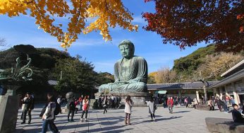 Những Bức Ảnh Tuyệt Đẹp Mùa Lá Đỏ ở Kamakura