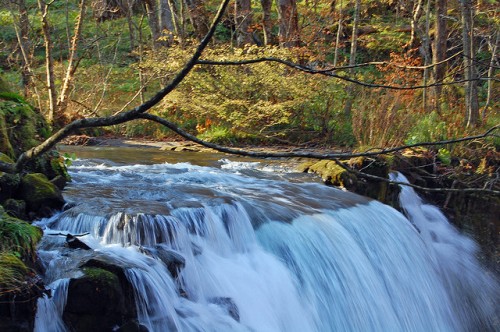 4086410436_30e9d50932_z