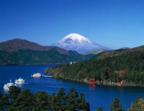 ho-ashi