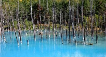 Blue Pond – Hồ nước ma thuật đổi màu huyền ảo