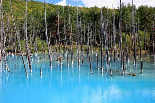 Blue Pond – Hồ nước ma thuật đổi màu huyền ảo