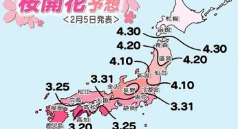 Lịch ngắm hoa anh đào Nhật Bản 2014 (dự báo)