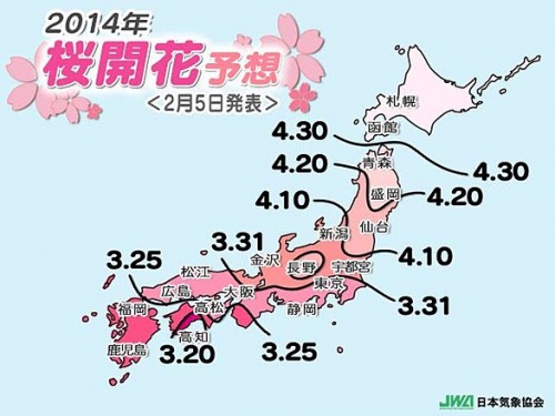 Lịch hoa anh đào Nhật Bản 2014