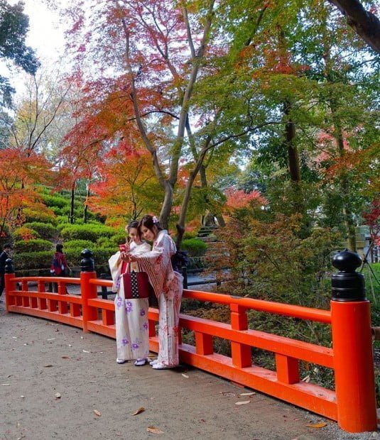 Maiko ở Kyoto