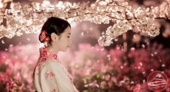Một số điểm tham quan và sự kiện diễn ra tại Nhật Bản vào tháng 3