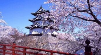 Những điều lưu ý khi đi du lịch Nhật Bản