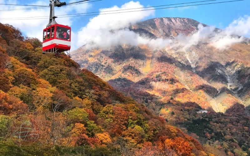 Cao nguyên Akechidaira hùng vĩ Nikko mùa lá đỏ