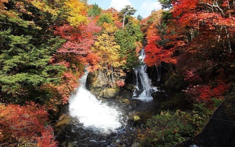 Thác Ryuzu hùng vĩ Nikko mùa lá đỏ
