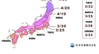 Quy tắc COVID gây ra những gì cho Nhật Bản?