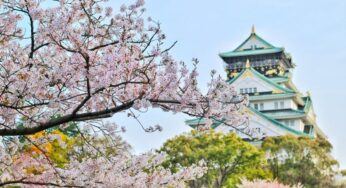 [Hoa Anh Đào] Tour Nhật 6N5Đ Osaka-Tokyo | HN bay VNA