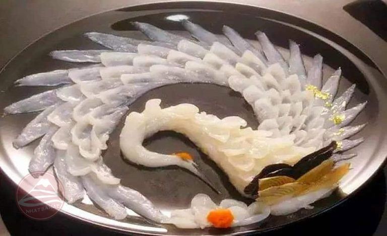 Cá nóc Fugu – Món ăn triệu đô và cũng là một trong những loài cá độc nhất thế giới