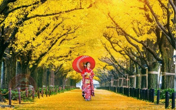 Tokyo thành phố an toàn nhất thế giới để du lịch năm 2024