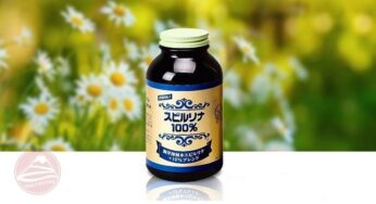 Tảo xoắn Nhật Bản chính hãng và Tảo giả có gì khác biệt?