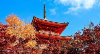 Top địa điểm ngắm là đỏ mùa thu Kyoto mê đắm quên lối về
