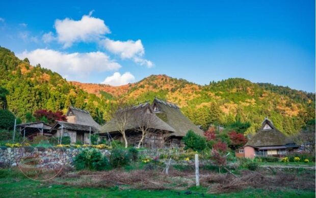 Những ngôi nhà lịch sử ở làng Kayabuki no Sato