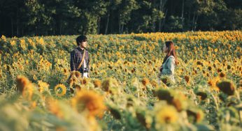 Du lịch Hokkaido hoang dã mùa nào cũng đẹp đến ngỡ ngàng