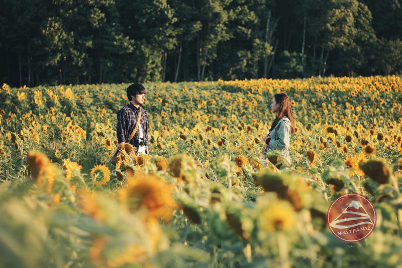 Du lịch Hokkaido hoang dã mùa nào cũng đẹp đến ngỡ ngàng