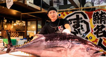 Gợi ý hành trình du lịch 1 ngày khám phá Wakayama