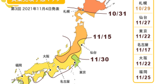 Dự báo lịch ngắm lá đỏ mùa thu Nhật Bản 2022