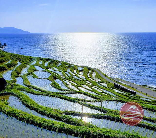 Du lịch Nhật Bản tháng 5: Lễ hội và khung cảnh đồng quê tuyệt đẹp