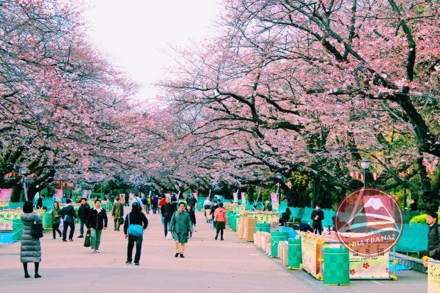 Tokyo