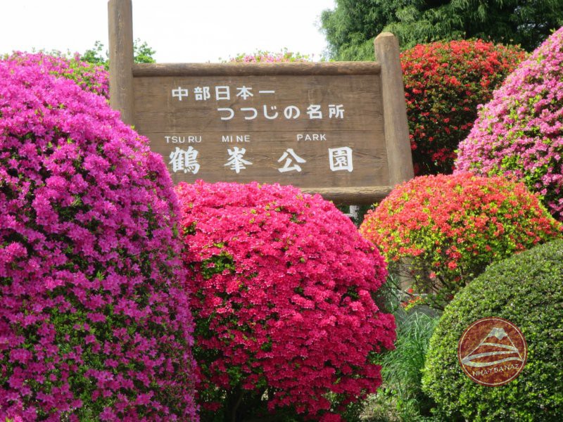 Công viên hoa đỗ quyên Tsurumine, Nagano