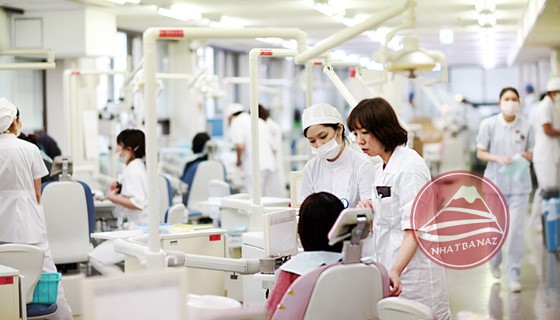 Cập nhật tình hình mở cửa các điểm tham quan nổi tiếng tại Nhật