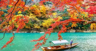 Những nơi tốt nhất để ngắm lá mùa thu ở Nhật Bản