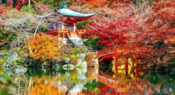Top 9 địa điểm ngắm lá đỏ tại Osaka đẹp siêu lòng