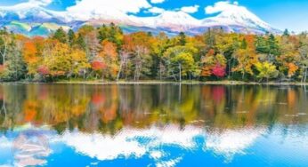 Top điểm ngắm lá đỏ ở Hokkaido đẹp đến nao lòng