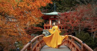 Hot girl Việt khoe ảnh check-in mùa Thu ở Nhật Bản