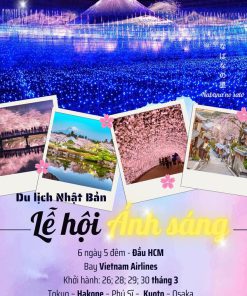 Tour ngắm Hoa Anh Đào, lễ hội ánh sáng