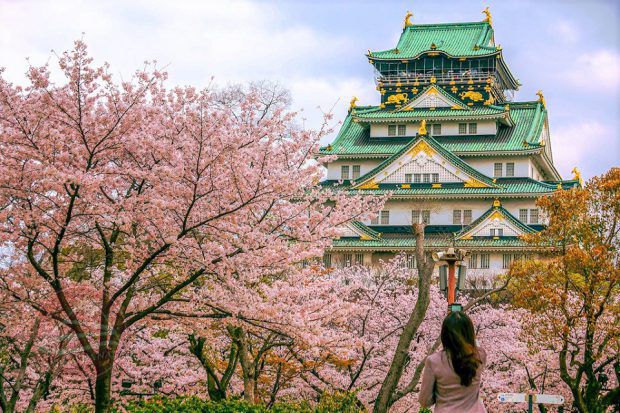 Lâu đài Osaka mùa hoa anh đào