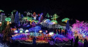 Tour tham gia Lễ hội ánh sáng Nhật Bản 6N5Đ từ 39,9 triệu