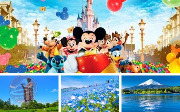 Tour Nhật Bản 01 ngày freeday - Thỏa sức khám phá Nhật Bản