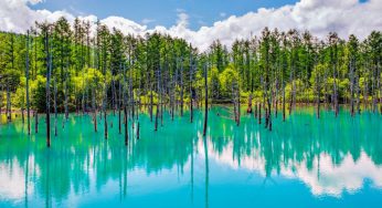 Vẻ đẹp quyến rũ huyền bí của hồ xanh Hokkaido