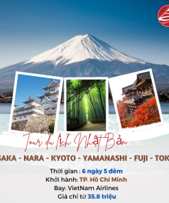 Tour du lịch Nhật Bản : Osaka - Nara- Kyoto - Yamanashi - Fuji - Tokyo