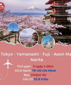 Tour du lịch Nhật Bản: Tokyo - Yamanashi - Fuji - Aeon Mall Narita