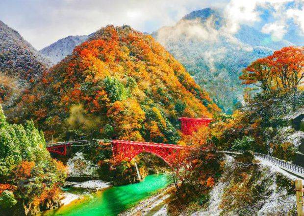 tour nhật cao cấp