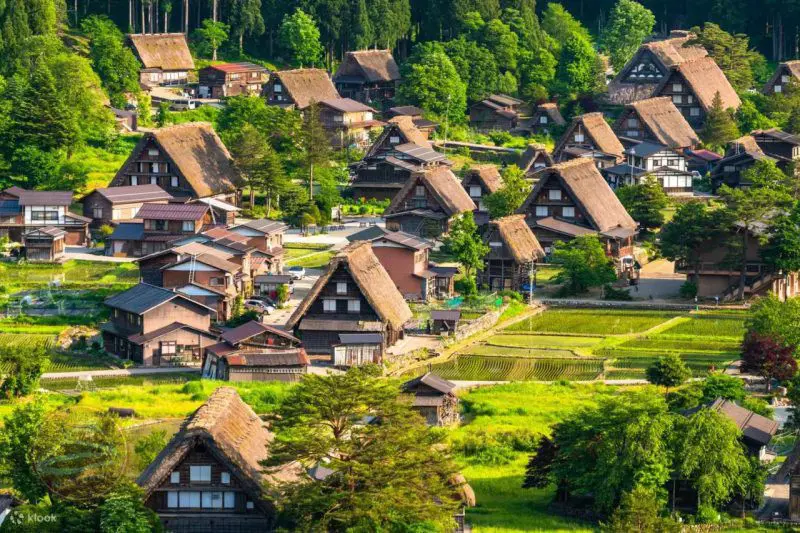 Tour mùa lá đỏ Nhật Bản 7 ngày 6 đêm, Tour du lịch Nhật Bản, mùa lá đỏ, Nhật Bản, mùa lá đỏ Nhật Bản, Du Lịch Xanh