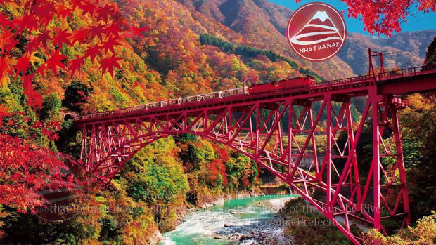 tour nhật cao cấp